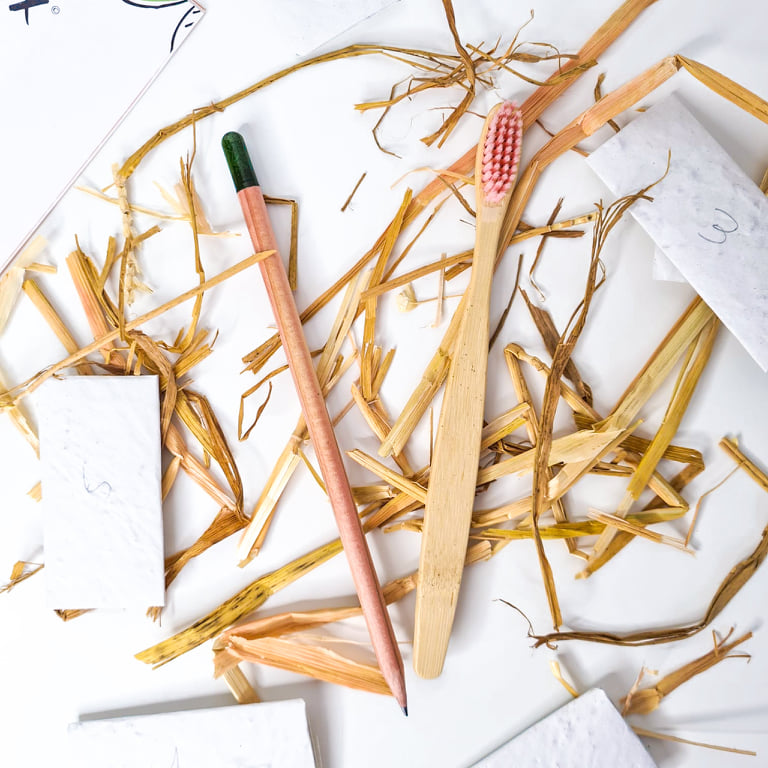 Brosse à dents en bambou et crayon à papier à planter